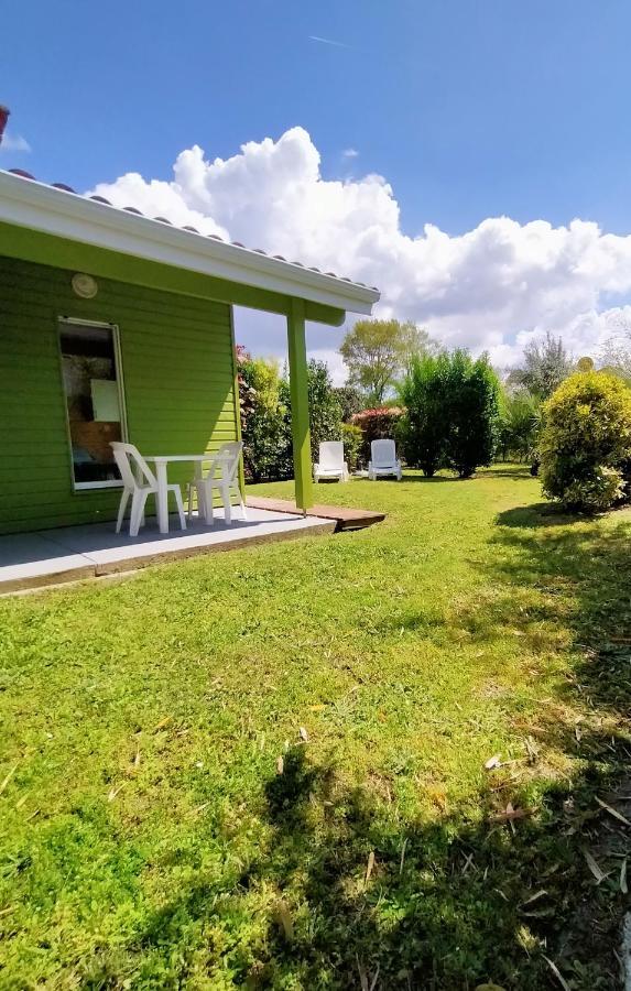 Gite Avec Piscine Et Espace Bien-Etre Partages Entre Bordeaux Et Lacanau Ocean (Adults Only) Brach Eksteriør billede
